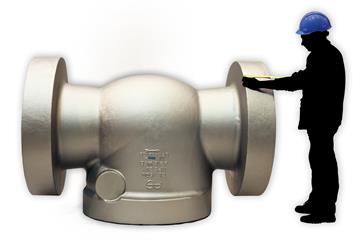 Swing check valve casting