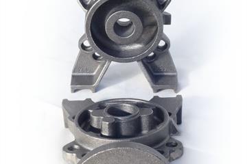 Castingbodies of semi-rotary pumps